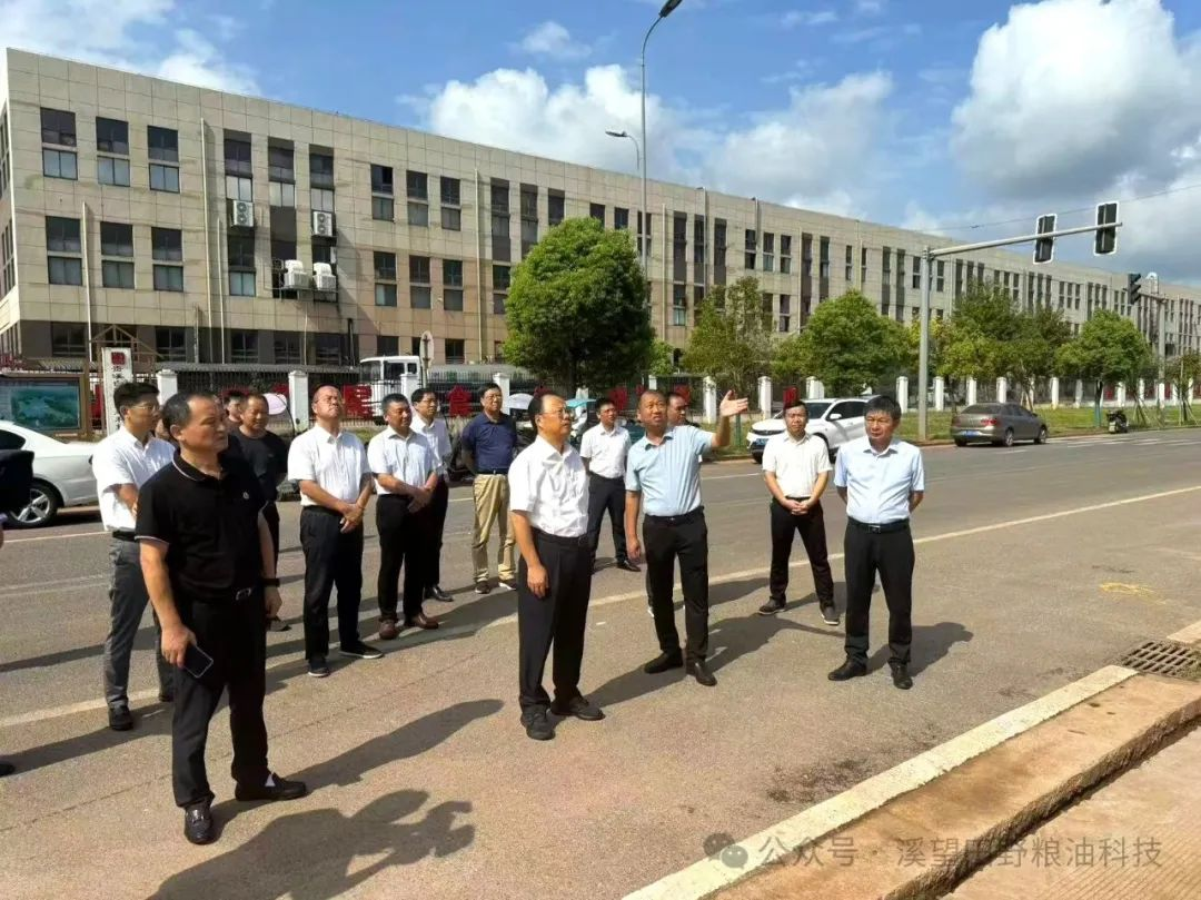 鹰潭市委副书记黄金龙一行调研考察溪望田野粮油产业园项目建设工作
